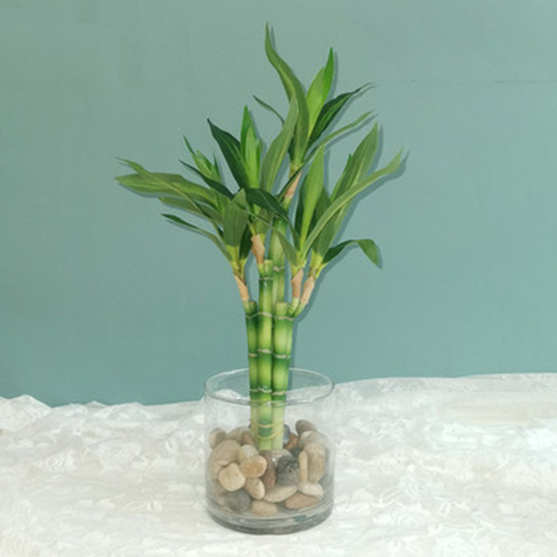 Aquarium Fish Saltwater - Nova Planta Artificial de Bambu da
