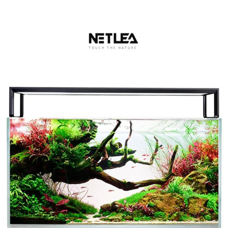 Aquarium Fish Photography - Netlea at5s v3 inteligente wifi app