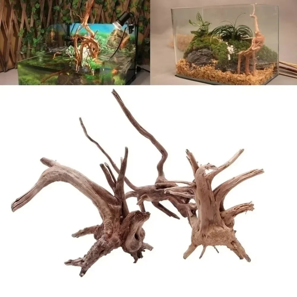 Aquarium Fish Saltwater - (15-20cm) Decoração de Aquário em Madeira