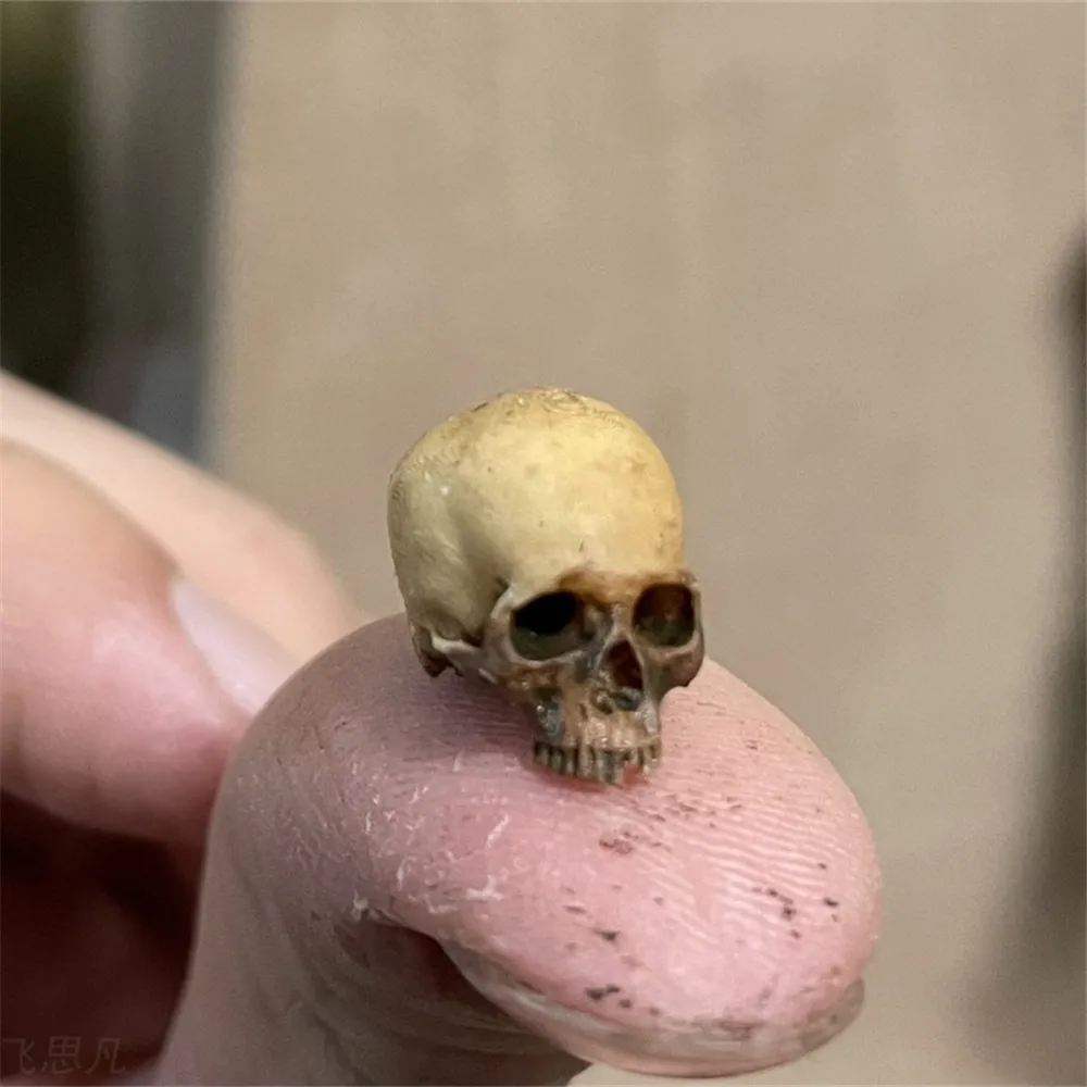 Aquarium Fish Buy - Mini crânio modelo em miniatura de