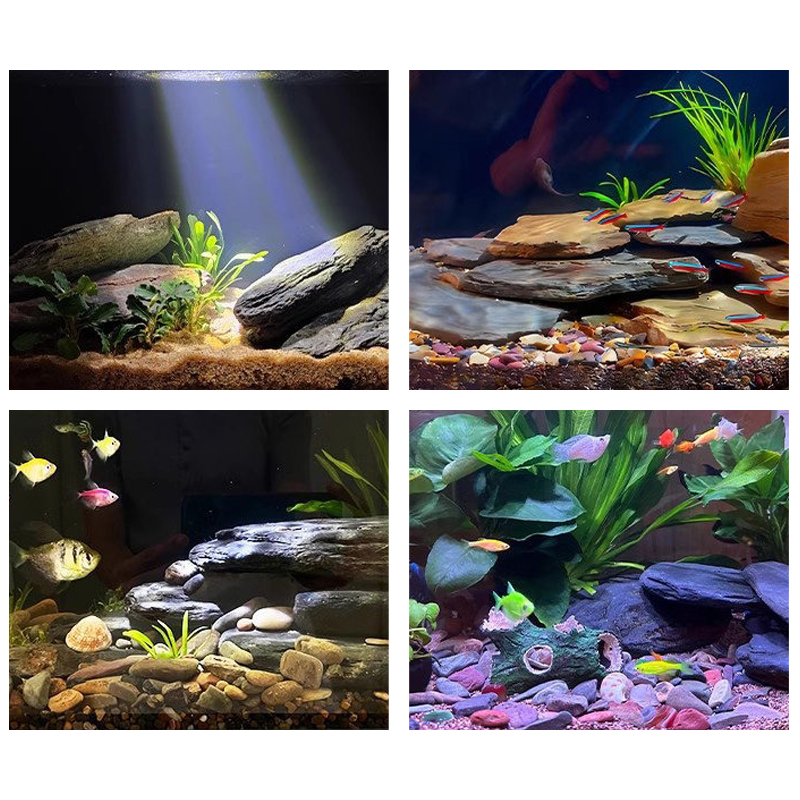 Kit de Pedras para Paisagismo  - Aquarium Fish Saltwater avaliação e preço