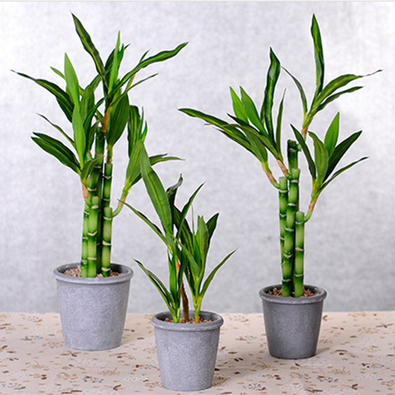 Nova Planta Artificial de Bamb - Aquarium Fish Saltwater avaliação e preço
