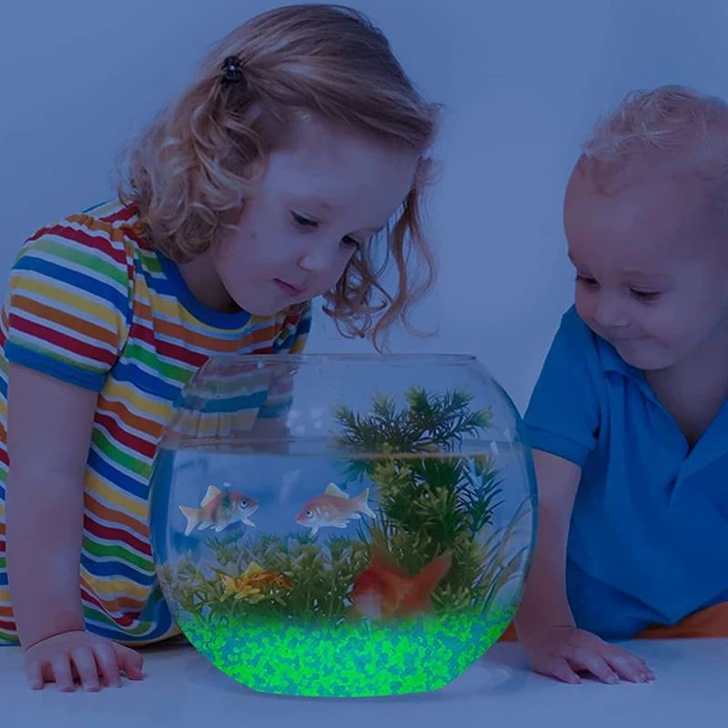 1000 pçs 3-5mm areia luminosa  - Aquarium Fish Saltwater avaliação e preço