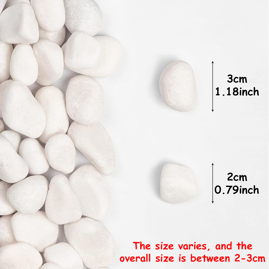 200/400g branco alto polido se - Aquarium Fish Saltwater avaliação e preço