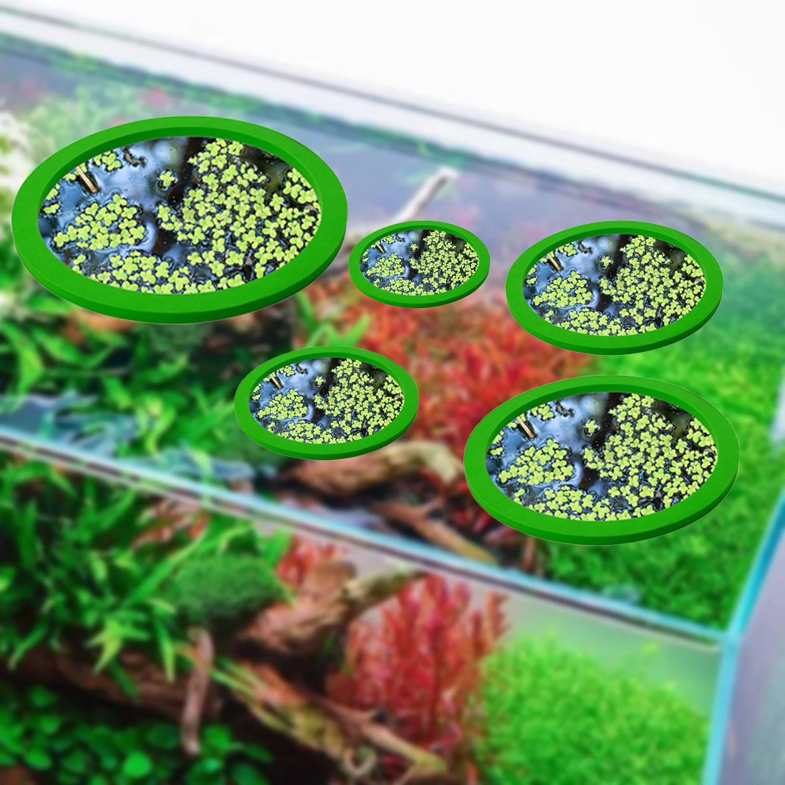 5 pçs eva anel de alimentação  - Aquarium Fish Photography avaliação e preço