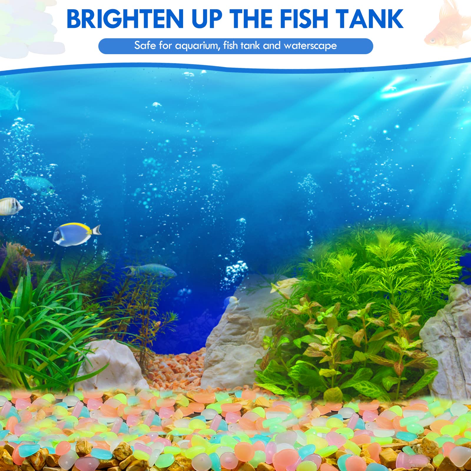 100 pçs brilham no escuro jard - Aquarium Fish Saltwater avaliação e preço