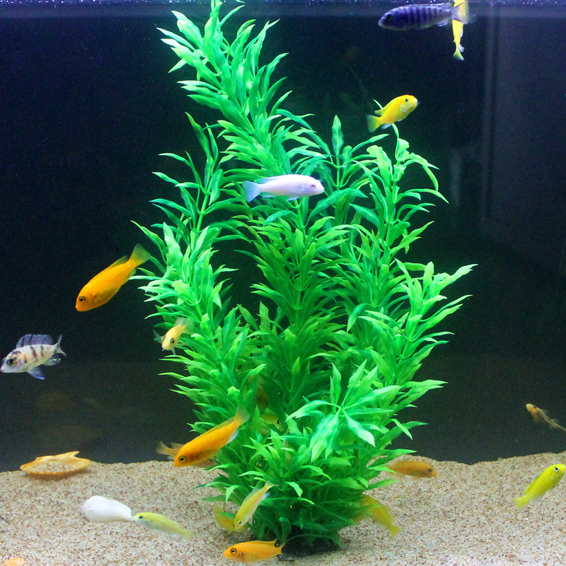 Plantas Artificiais Raras para - Aquarium Fish Photography avaliação e preço