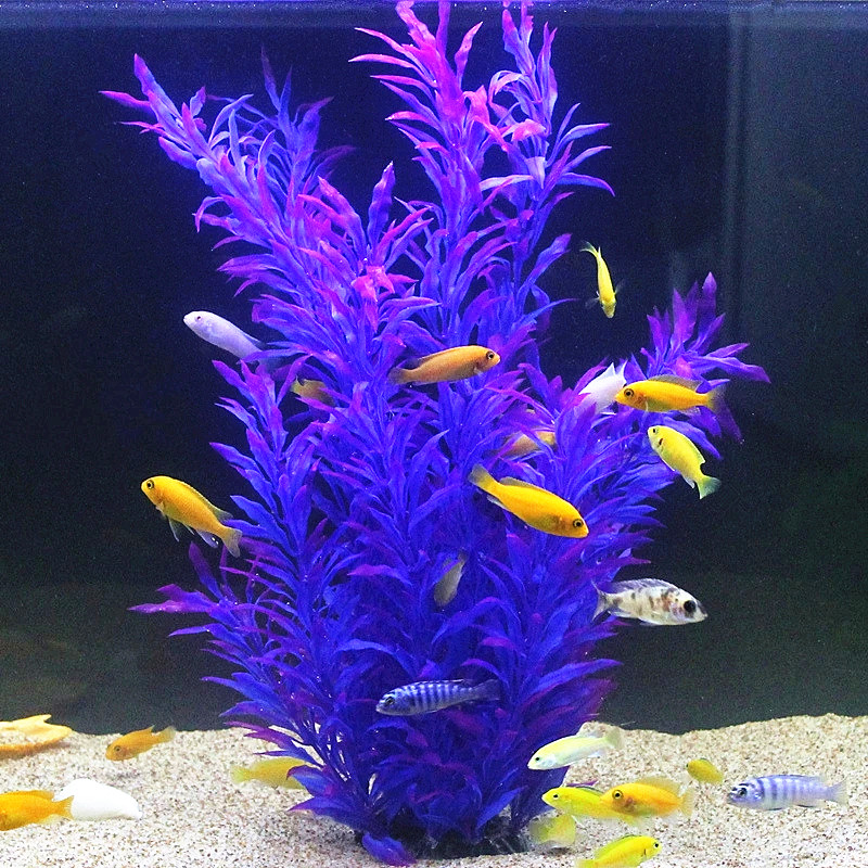 Plantas Artificiais Raras para - Aquarium Fish Photography avaliação e preço