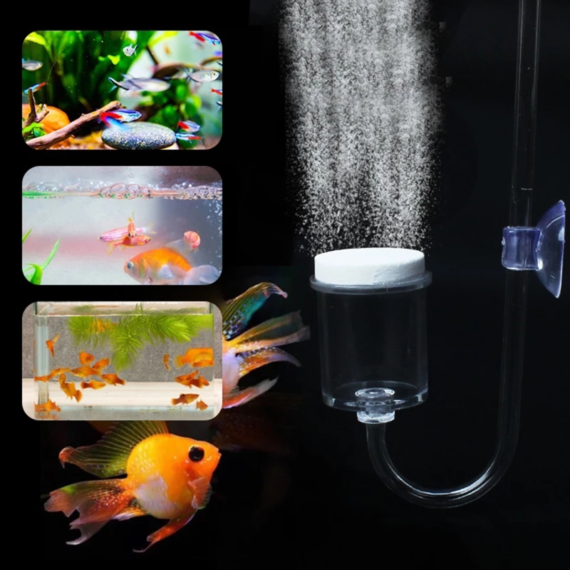 CO2 Difusor para Aquário, DIY  - Aquarium Fish Buy avaliação e preço